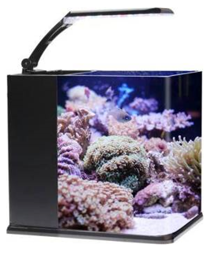 Nano Cube Glass Aquarium 3-5 Gal
