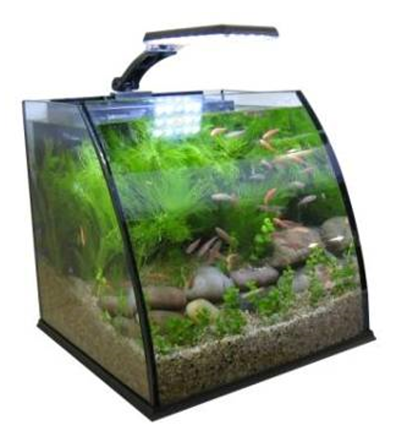 Nano Trapezium Glass Aquarium 4-6 Gal